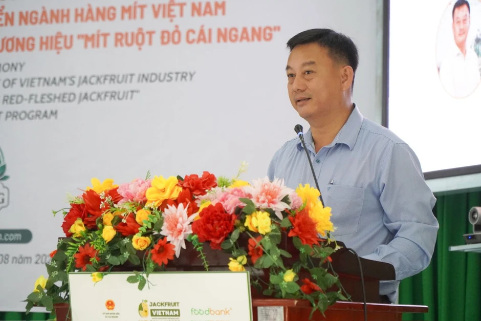 Vĩnh Long thí điểm phát triển chuỗi giá trị ngành hàng mít