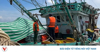 Vĩnh Long triển khai các giải pháp chống khai thác IUU, gỡ "thẻ vàng" EC