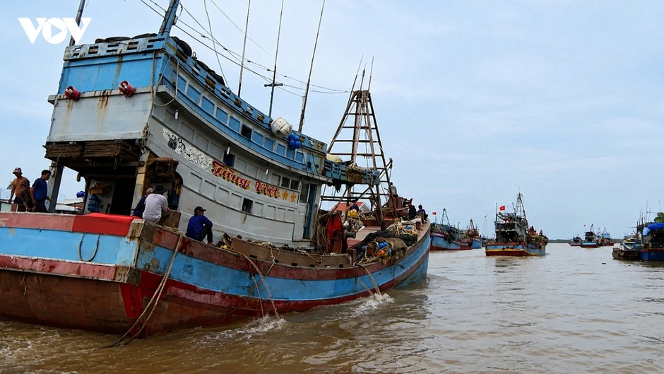 Vĩnh Long triển khai các giải pháp chống khai thác IUU, gỡ "thẻ vàng" EC Vĩnh Long triển khai các giải pháp chống khai thác IUU, gỡ "thẻ vàng" EC