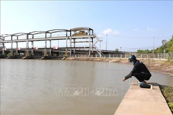 Vĩnh Long ứng phó xâm nhập mặn trong cao điểm mùa khô