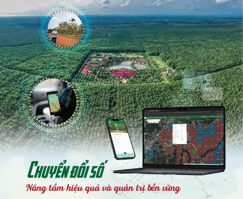 VRG phấn đấu trở thành ‘Tập đoàn kinh tế sản xuất nông nghiệp xanh hàng đầu thế giới’ VRG phấn đấu trở thành ‘Tập đoàn kinh tế sản xuất nông nghiệp xanh hàng đầu thế giới’