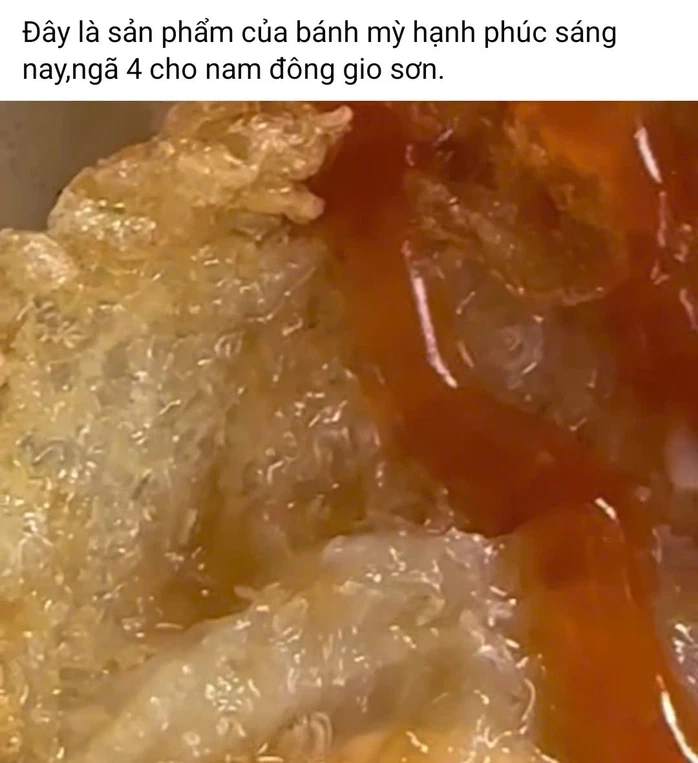 Vụ dòi lúc nhúc trong hộp xôi: Xác định loạt vi phạm tại cơ sở bánh mì