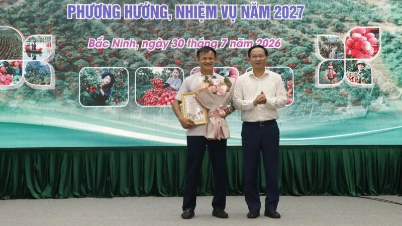 Vụ vải thiều Bắc Ninh năm 2026: Sản lượng giảm, giá cao kỷ lục Vụ vải thiều Bắc Ninh năm 2026: Sản lượng giảm, giá cao kỷ lục