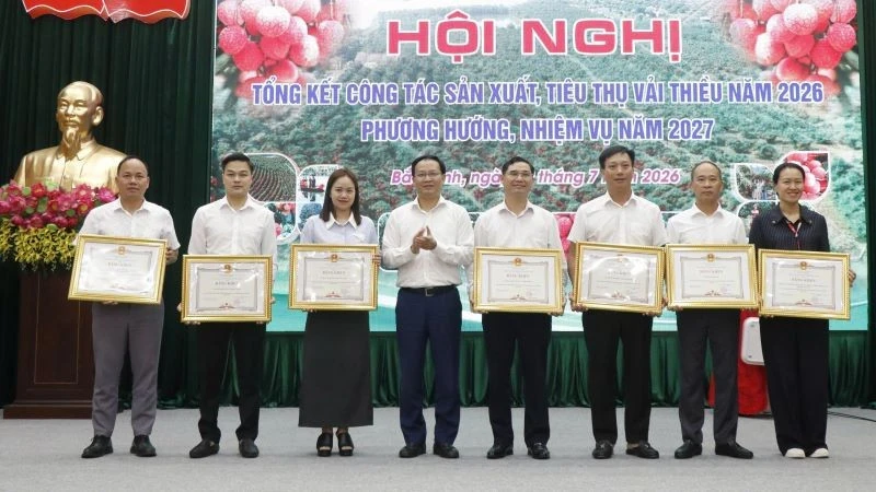 Vụ vải thiều Bắc Ninh năm 2026: Sản lượng giảm, giá cao kỷ lục Vụ vải thiều Bắc Ninh năm 2026: Sản lượng giảm, giá cao kỷ lục