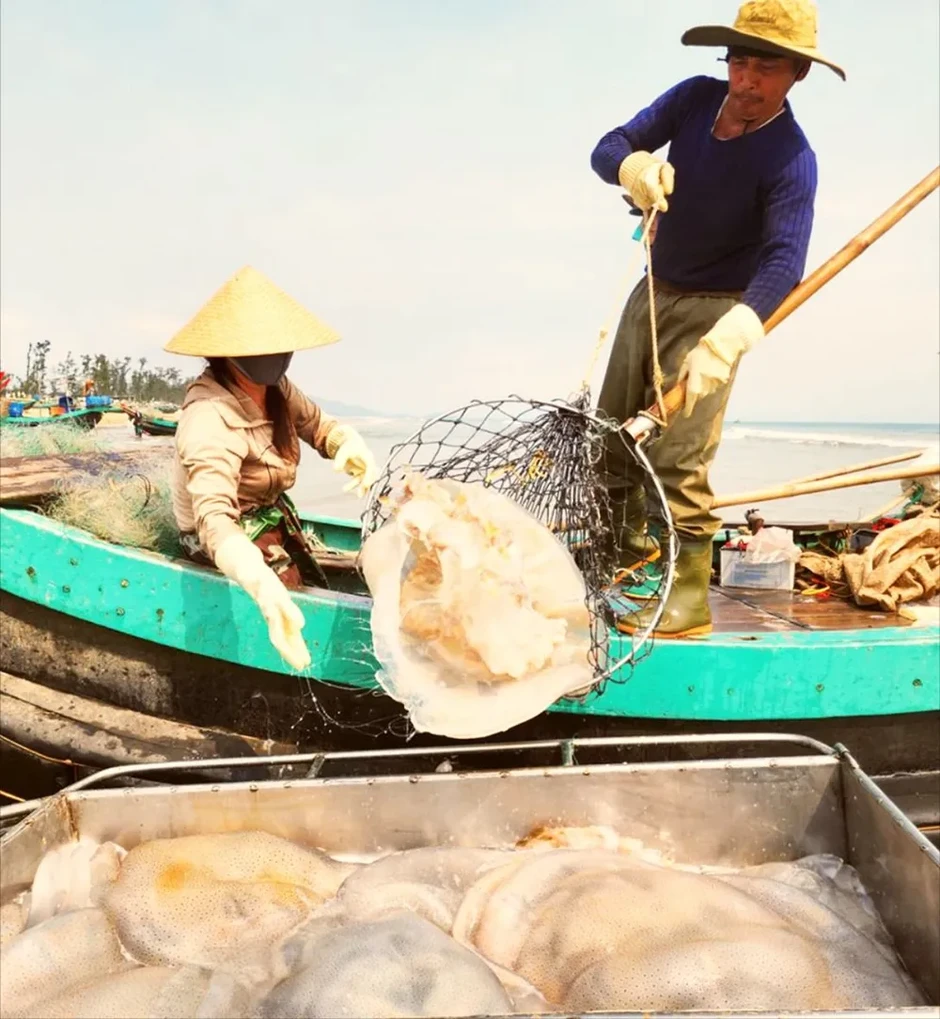 Vượt khó ra khơi, ngư dân trúng “lộc” Vượt khó ra khơi, ngư dân trúng “lộc”