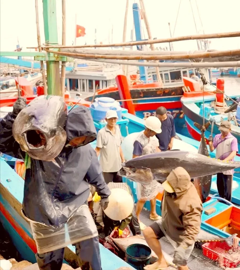Vượt khó ra khơi, ngư dân trúng “lộc” Vượt khó ra khơi, ngư dân trúng “lộc”
