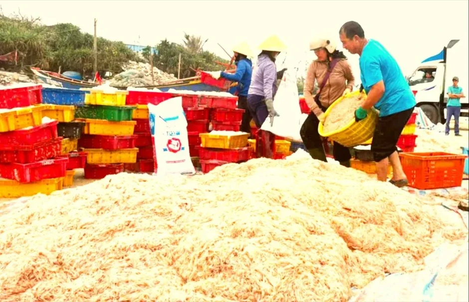 Vượt khó ra khơi, ngư dân trúng “lộc” Vượt khó ra khơi, ngư dân trúng “lộc”