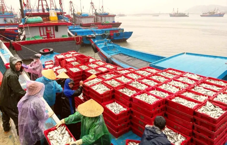 Vượt khó ra khơi, ngư dân trúng “lộc” Vượt khó ra khơi, ngư dân trúng “lộc”
