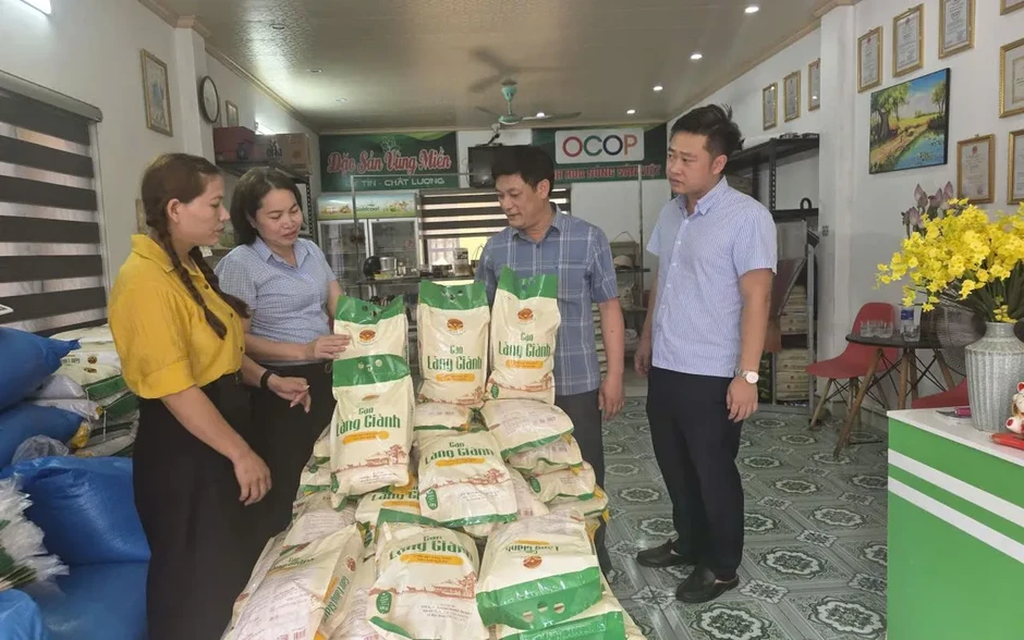 Xã Phụ Dực (Hưng Yên) đẩy mạnh phát triển sản phẩm OCOP, nâng tầm giá trị nông sản địa phương Xã Phụ Dực (Hưng Yên) đẩy mạnh phát triển sản phẩm OCOP, nâng tầm giá trị nông sản địa phương