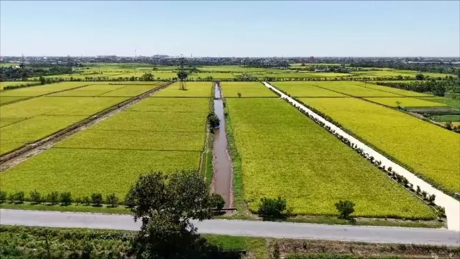 Xã Phụ Dực (Hưng Yên) đẩy mạnh phát triển sản phẩm OCOP, nâng tầm giá trị nông sản địa phương Xã Phụ Dực (Hưng Yên) đẩy mạnh phát triển sản phẩm OCOP, nâng tầm giá trị nông sản địa phương