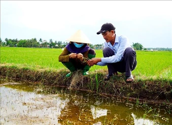 Xâm nhập mặn có thể lấn sâu tại Đồng bằng sông Cửu Long