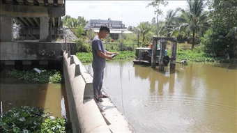 Xâm nhập mặn ở Đồng bằng sông Cửu Long tăng dần vào cuối tuần