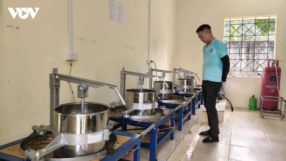 Xanh hóa vùng chè, nâng tầm thương hiệu trà Thái Nguyên Xanh hóa vùng chè, nâng tầm thương hiệu trà Thái Nguyên
