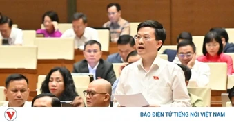 Xây dựng hệ sinh thái phát triển các doanh nghiệp nội địa “xương sống”