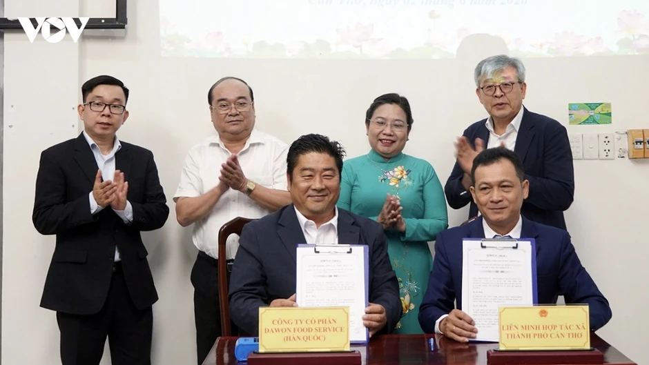 Xây dựng nhà máy chế biến nông, thủy sản tại Cần Thơ đạt tiêu chuẩn Hàn Quốc Xây dựng nhà máy chế biến nông, thủy sản tại Cần Thơ đạt tiêu chuẩn Hàn Quốc