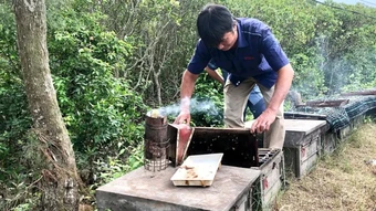 Xây dựng thương hiệu sản phẩm ngành ong