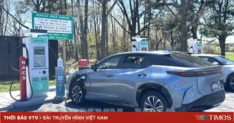 Xe điện sẽ định hình lại ngành công nghiệp cao su toàn cầu