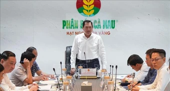 Xem xét các kiến nghị thúc đẩy phát triển Cụm khí - điện - đạm Cà Mau