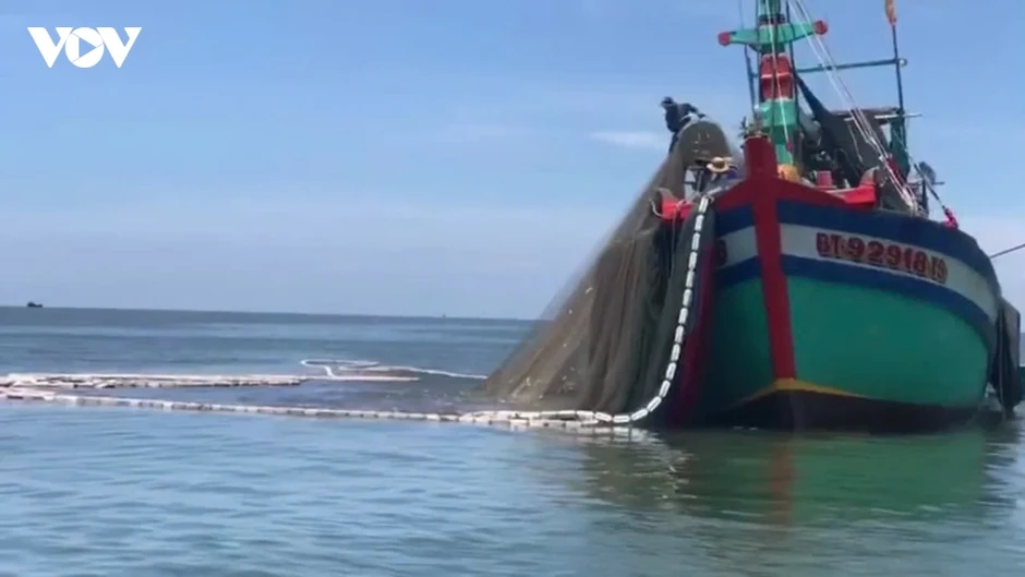 Xử lý 2 tàu cá ở Vĩnh Long khai thác sai vùng quy định Xử lý 2 tàu cá ở Vĩnh Long khai thác sai vùng quy định