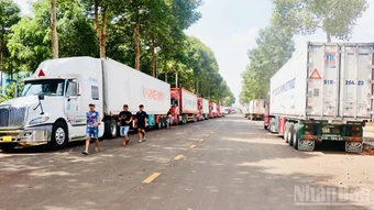 Xử lý ùn ứ hàng trăm xe container chở sầu riêng tại Đồng Nai