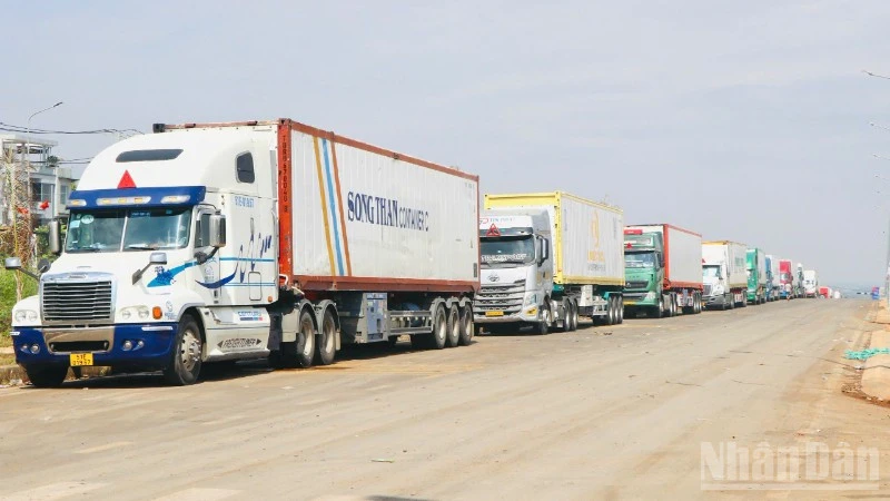 Xử lý ùn ứ hàng trăm xe container chở sầu riêng tại Đồng Nai Xử lý ùn ứ hàng trăm xe container chở sầu riêng tại Đồng Nai