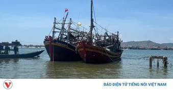 Xử phạt 160 triệu đồng đối với chủ tàu cá vi phạm quy định về khai thác thủy sản