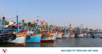 Xử phạt chủ tàu cá TP.HCM vi phạm quy định về IUU