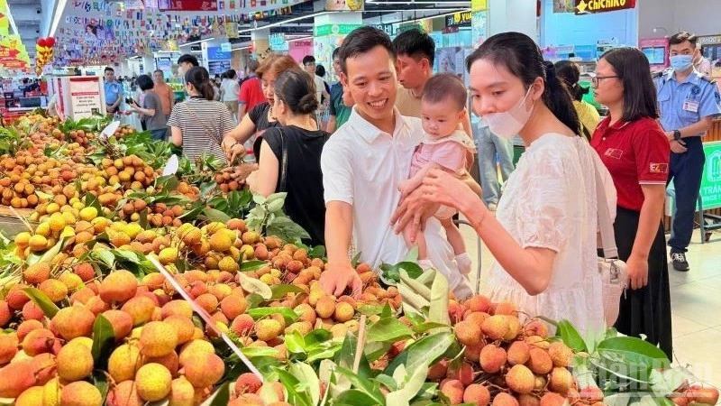 Xuất hành chuyến xe vải thiều đầu tiên vào chuỗi siêu thị GO! trên toàn quốc