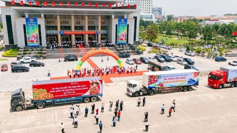 Xuất hành chuyến xe vải thiều đầu tiên vào chuỗi siêu thị GO! trên toàn quốc
