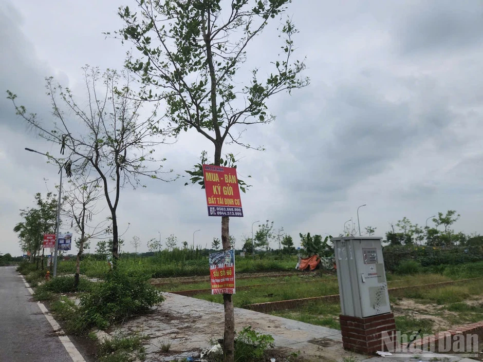 Xuất hiện tình trạng quảng cáo, môi giới mua bán đất tái định cư tại xã Thư Lâm (Hà Nội) Xuất hiện tình trạng quảng cáo, môi giới mua bán đất tái định cư tại xã Thư Lâm (Hà Nội)