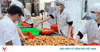 Xuất khẩu bền vững hướng đến mục tiêu tăng trưởng hai con số