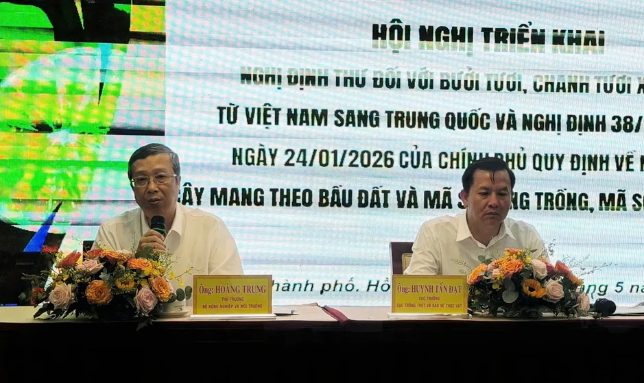 Xuất khẩu bưởi, chanh sang Trung Quốc: Giữ uy tín để giữ thị trường Xuất khẩu bưởi, chanh sang Trung Quốc: Giữ uy tín để giữ thị trường