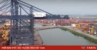 Xuất khẩu chịu sức ép từ cước vận tải biển tăng cao