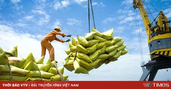 Xuất khẩu gạo: Chủ động thích ứng, giảm rủi ro thị trường