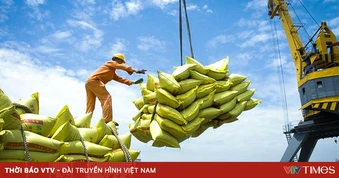 Xuất khẩu gạo của Việt Nam sang Senegal tăng gần 30 lần
