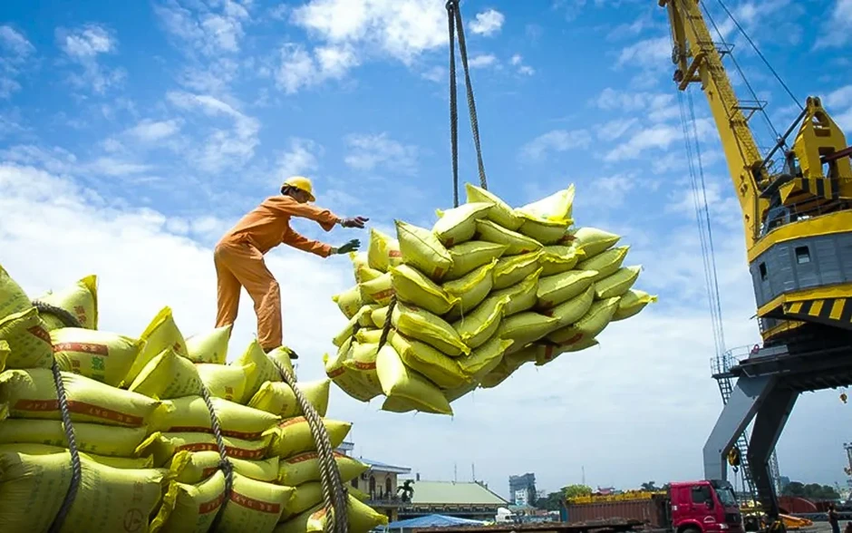 Xuất khẩu gạo của Việt Nam sang Senegal tăng gần 30 lần Xuất khẩu gạo của Việt Nam sang Senegal tăng gần 30 lần