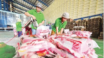 Xuất khẩu gạo “đón sóng” thị trường