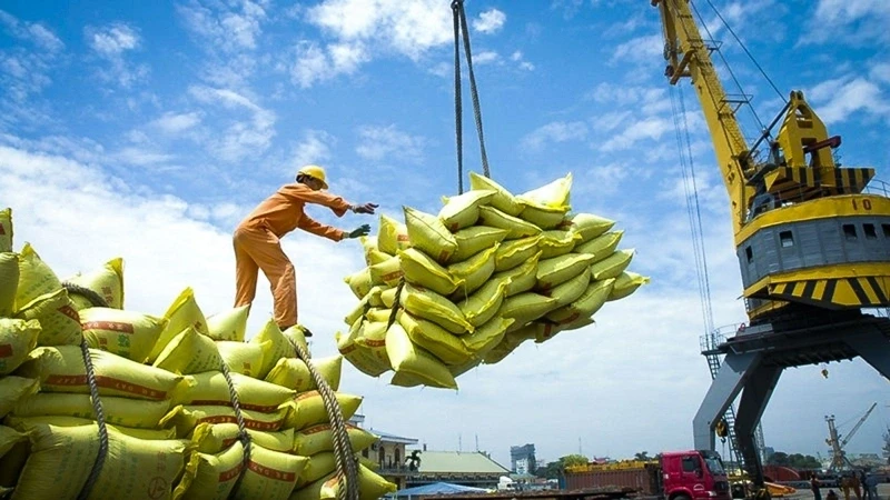 Xuất khẩu gạo sắp được “cởi trói” Xuất khẩu gạo sắp được “cởi trói”