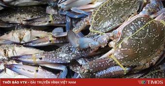 Xuất khẩu ghẹ từ Việt Nam sang Mỹ tăng mạnh