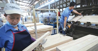 Xuất khẩu gỗ kỳ vọng sẽ sớm khởi sắc trở lại