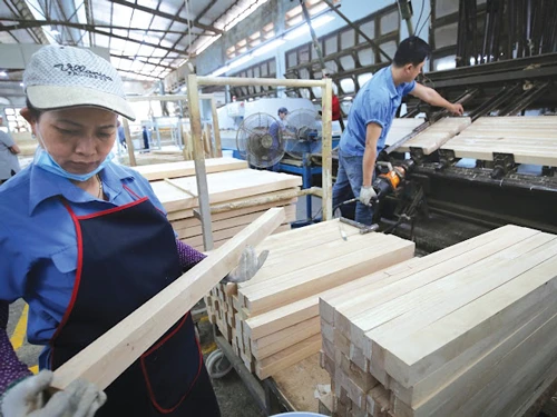 Xuất khẩu gỗ kỳ vọng sẽ sớm khởi sắc trở lại Xuất khẩu gỗ kỳ vọng sẽ sớm khởi sắc trở lại