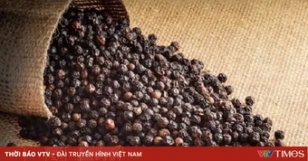 Xuất khẩu hồ tiêu 5 tháng tăng 21,7%