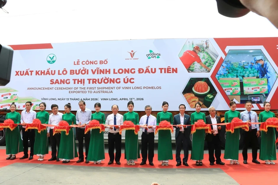Xuất khẩu lô bưởi da xanh đầu tiên sang Úc, mở ra cơ hội triệu đô