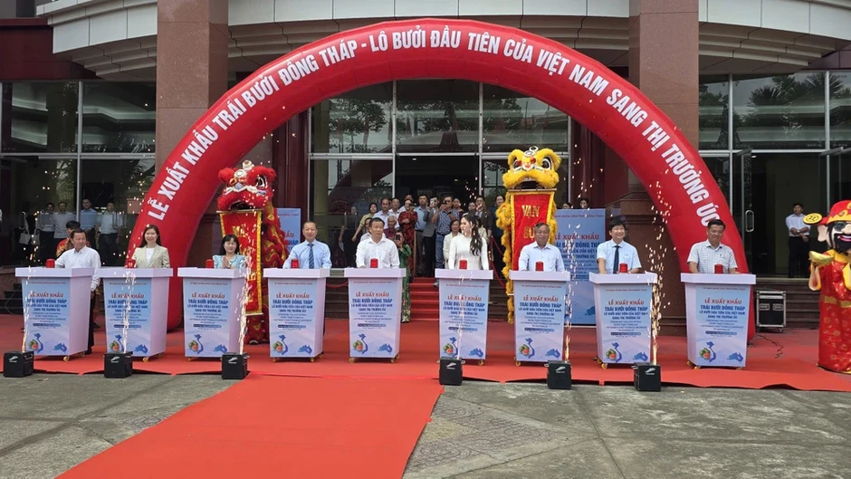 Xuất khẩu lô bưởi da xanh đầu tiên sang Úc, mở ra cơ hội triệu đô