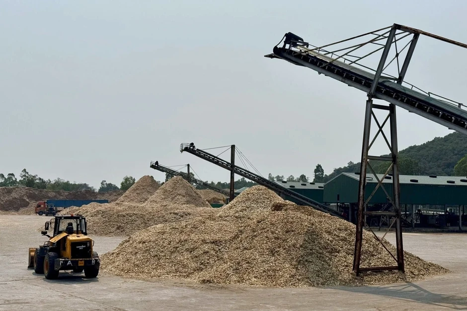 Xuất khẩu Nghệ An năm 2025: Dấu mốc tăng trưởng kỷ lục Xuất khẩu Nghệ An năm 2025: Dấu mốc tăng trưởng kỷ lục