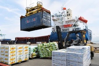 Xuất khẩu nông lâm thủy sản duy trì tăng trưởng tích cực