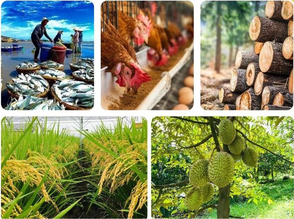 Xuất khẩu nông lâm thủy sản duy trì tăng trưởng tích cực Xuất khẩu nông lâm thủy sản duy trì tăng trưởng tích cực