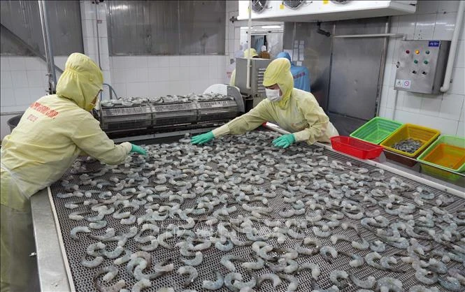 Xuất khẩu nông, lâm, thủy sản tăng gần 12% Xuất khẩu nông, lâm, thủy sản tăng gần 12%