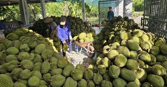 Xuất khẩu nông sản 'lãi ròng' lớn