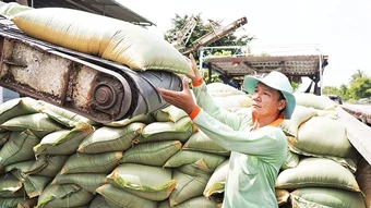 Xuất khẩu nông sản trước sức ép xung đột Trung Đông
